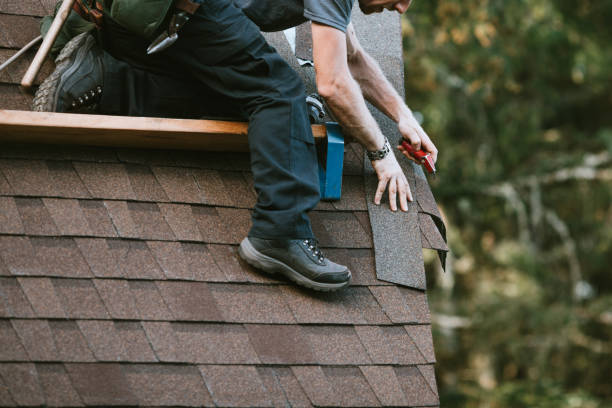 Best Roof Gutter Cleaning  in Baltimore, OH